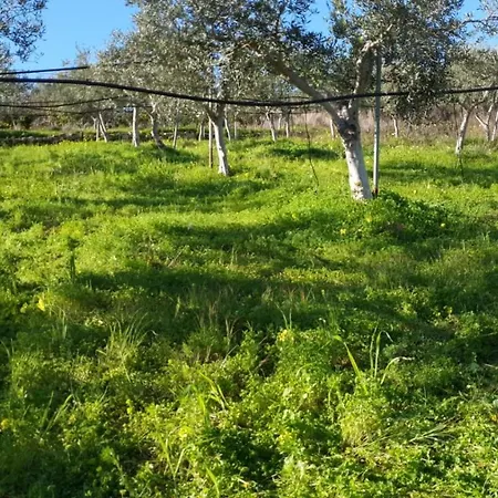 Holiday home Ca' Regia Raganella