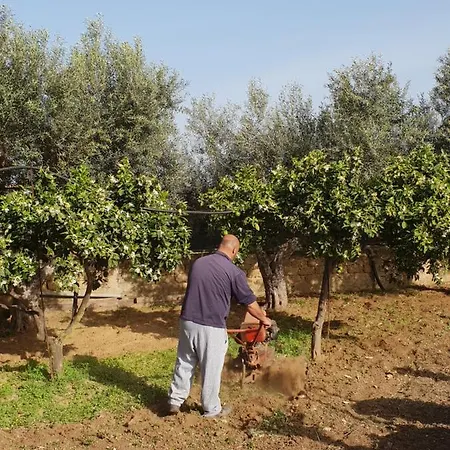 Ca' Regia Raganella Semesterbostad Sciacca