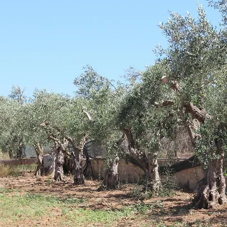 Ca' Regia Raganella Sciacca