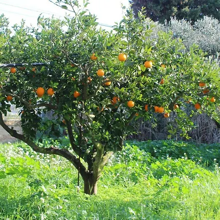 Ca' Regia Raganella Casa vacanze *